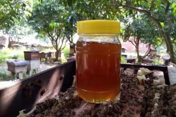 哪种颜色的蜂蜜最好,以水白色蜂蜜为宜
