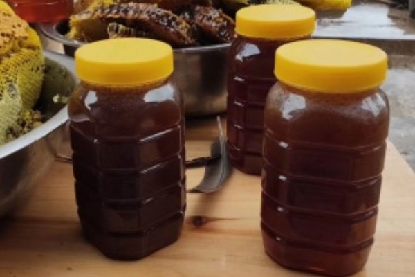 哪种颜色的蜂蜜最好,以水白色蜂蜜为宜