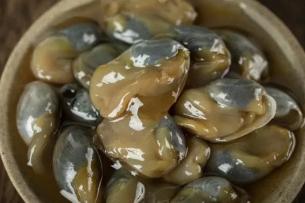 泥螺的简介,是一种食用型螺类