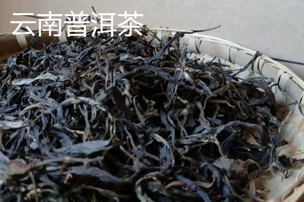 湖北前十的名茶,青砖茶、恩施玉露等品种榜上有名