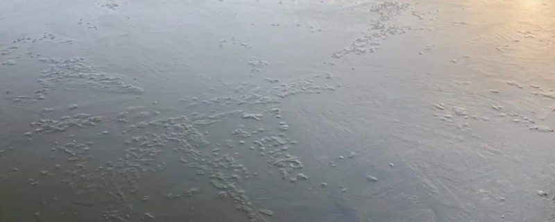 鱼塘结冰时鱼会缺氧吗，鱼不会缺氧