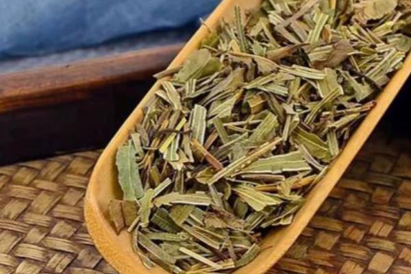 凤尾蕨有什么作用,具有食用价值、药用价值等