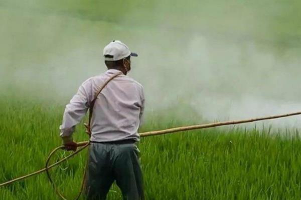 怎么用农药防治病害，根据防治对象决定所用药物