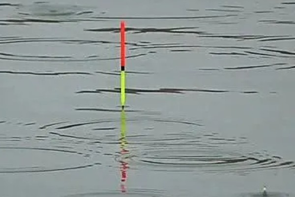 钓鳊鱼钓底合适吗，一般情况下建议钓底