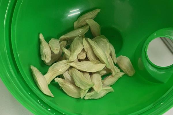 葡萄柚籽怎么种植，最好在春季进行