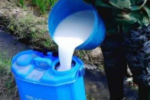 冬季怎么使用磷酸二氢钾，重点是喷施叶背