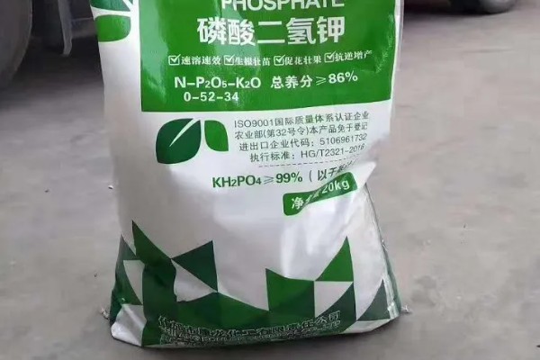 冬季怎么使用磷酸二氢钾，重点是喷施叶背