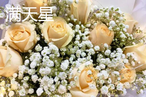 黄玫瑰的花语,寓意分手、逝去的爱
