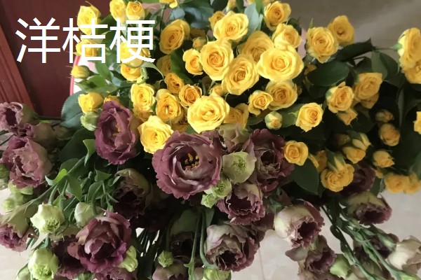 黄玫瑰的花语,寓意分手、逝去的爱