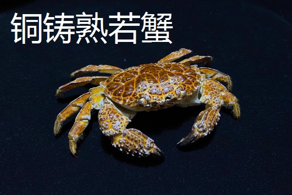 正直爱洁蟹能不能吃，会产生河豚毒素
