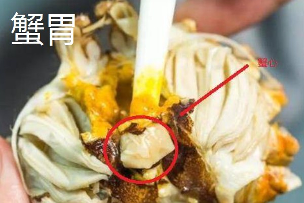 正直爱洁蟹能不能吃，会产生河豚毒素