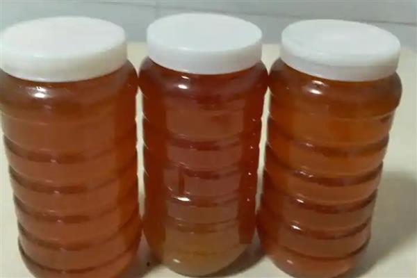 土蜂蜜是哪种蜂产的蜜,是中蜂生产的蜜