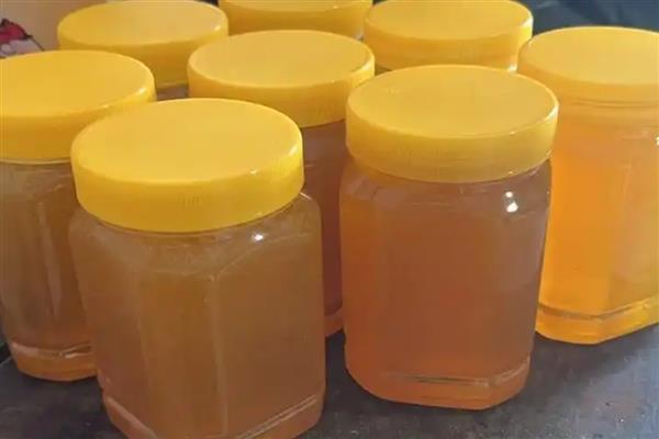 土蜂蜜是哪种蜂产的蜜,是中蜂生产的蜜