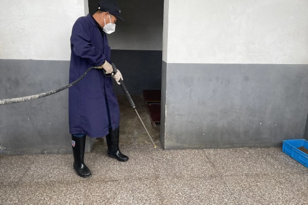 狗狗身上出现跳蚤如何处理,选择专用沐浴露为它洗澡可以杀虫