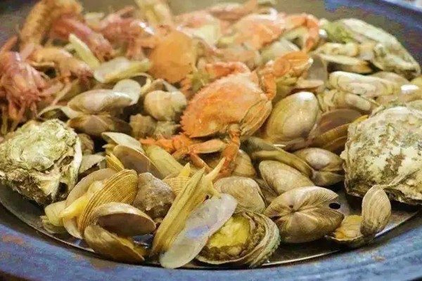 海鲜有什么典型的耐盐菌，副溶血性弧菌比较常见