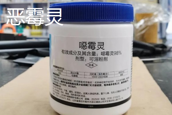 小叶黄杨叶子发黄如何解决,光照强烈时要为它遮阴