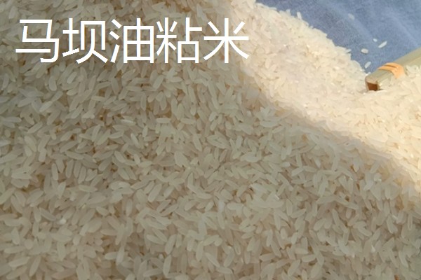 广东韶关的特产,张溪香芋向来是宴请宾客的名菜